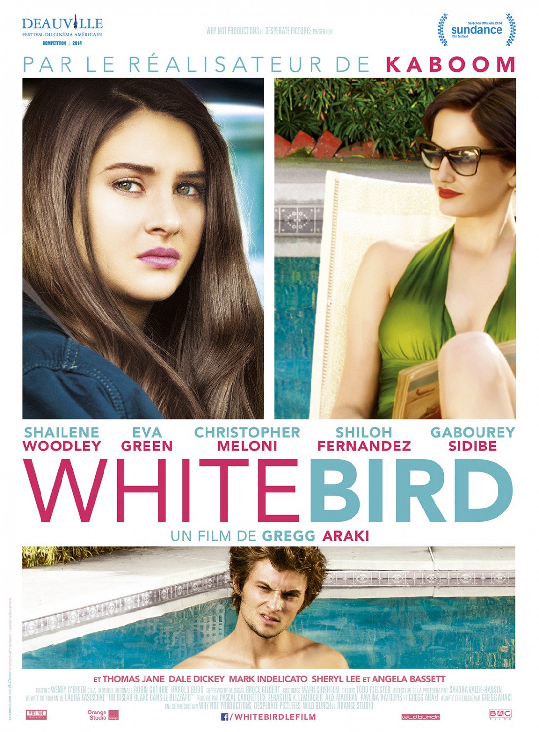 Vertigo ブリザード 凍える秘密 ってグレッグ アラキのwhite Bird In A Blizzardなんだ これポスターのトーンが国ごとに全然違うのが面白い 米 仏 韓 英 どれが実際のトーンに近いのか あるいは実際はどれにも当てはまらないのか T Co