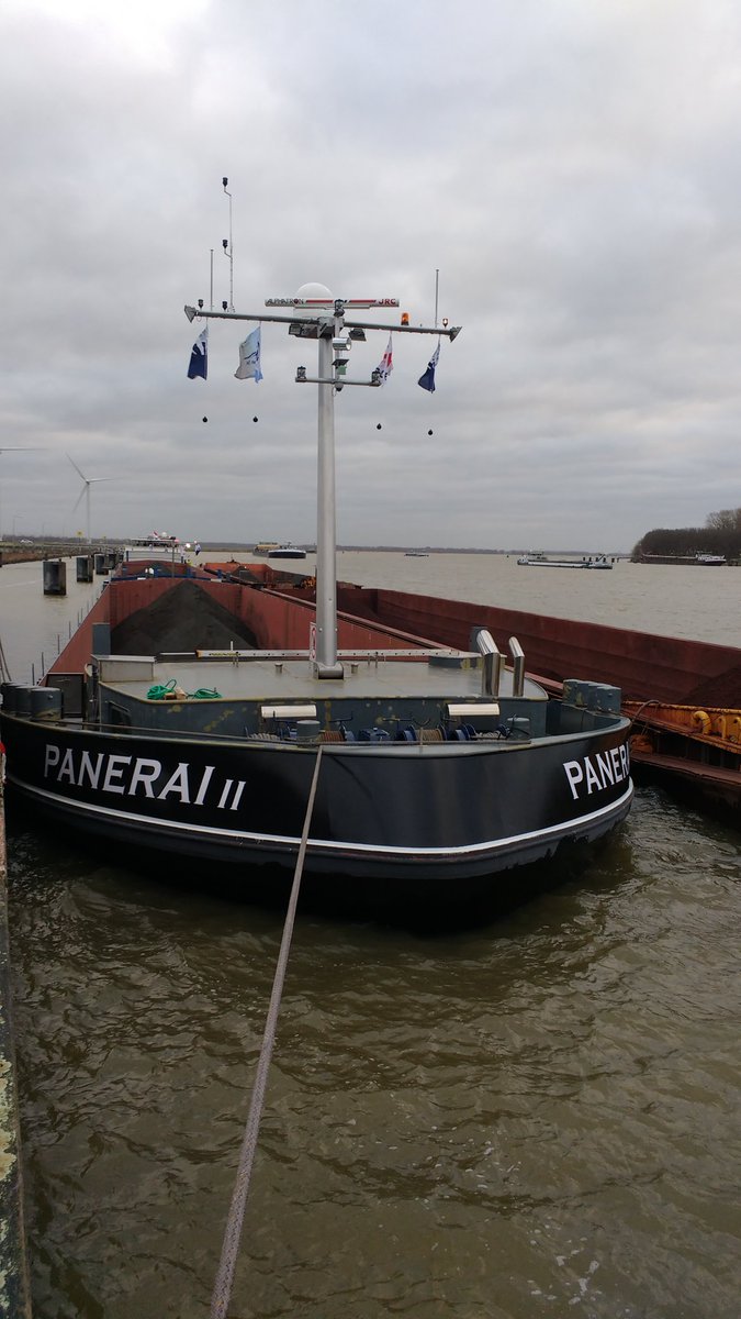 Wim Boom tweet media