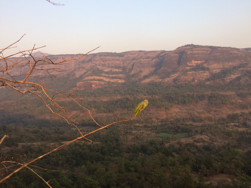 KilledariMH's tweet photo. सुंदर निसर्गाने नटलेला #सुधागड! पुण्यापासून अंदाजे १३०-१४० किलोमीटर. जिल्हा रायगड. पाली गणपतीपासून २०-३० किलोमीटर अंतरावर. तब्बल १५५ हेक्टर हा किल्ला उभा. जवळ सरसगड, तैलबैला आणि घनगड हे किल्ले #म #मराठी https://t.co/PZLvzFJoz2