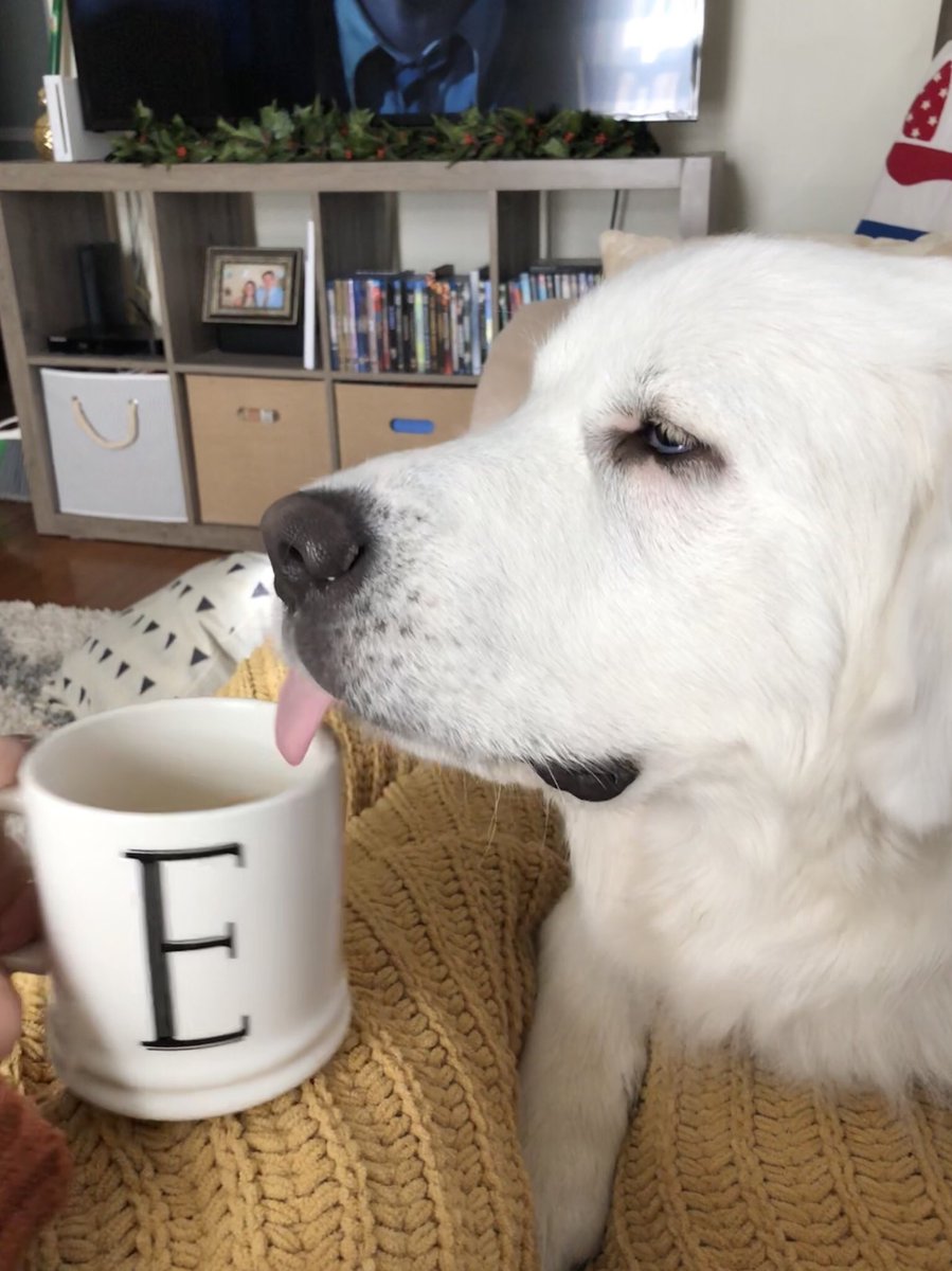 emilykbarger's tweet photo. Monday’s got me like... #wheresTheCoffee https://t.co/APaH068Sbd