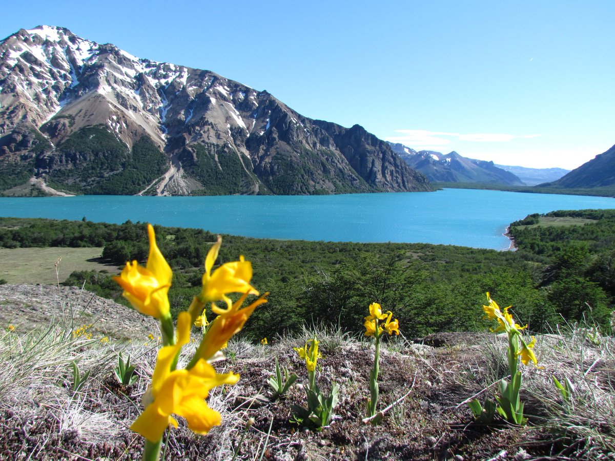 conaf_minagri's tweet photo. ¡Muchos motivos para celebrar 👏🎉! La Red de Parques de la Patagonia protegerá 4.586.365 ha, incrementando en un 9,27% la superficie actual del Sistema Nacional de Áreas Silvestres Protegidas del Estado. 🇨🇱🌳🦊🦉🐾 https://t.co/S7Iu4QyEA1