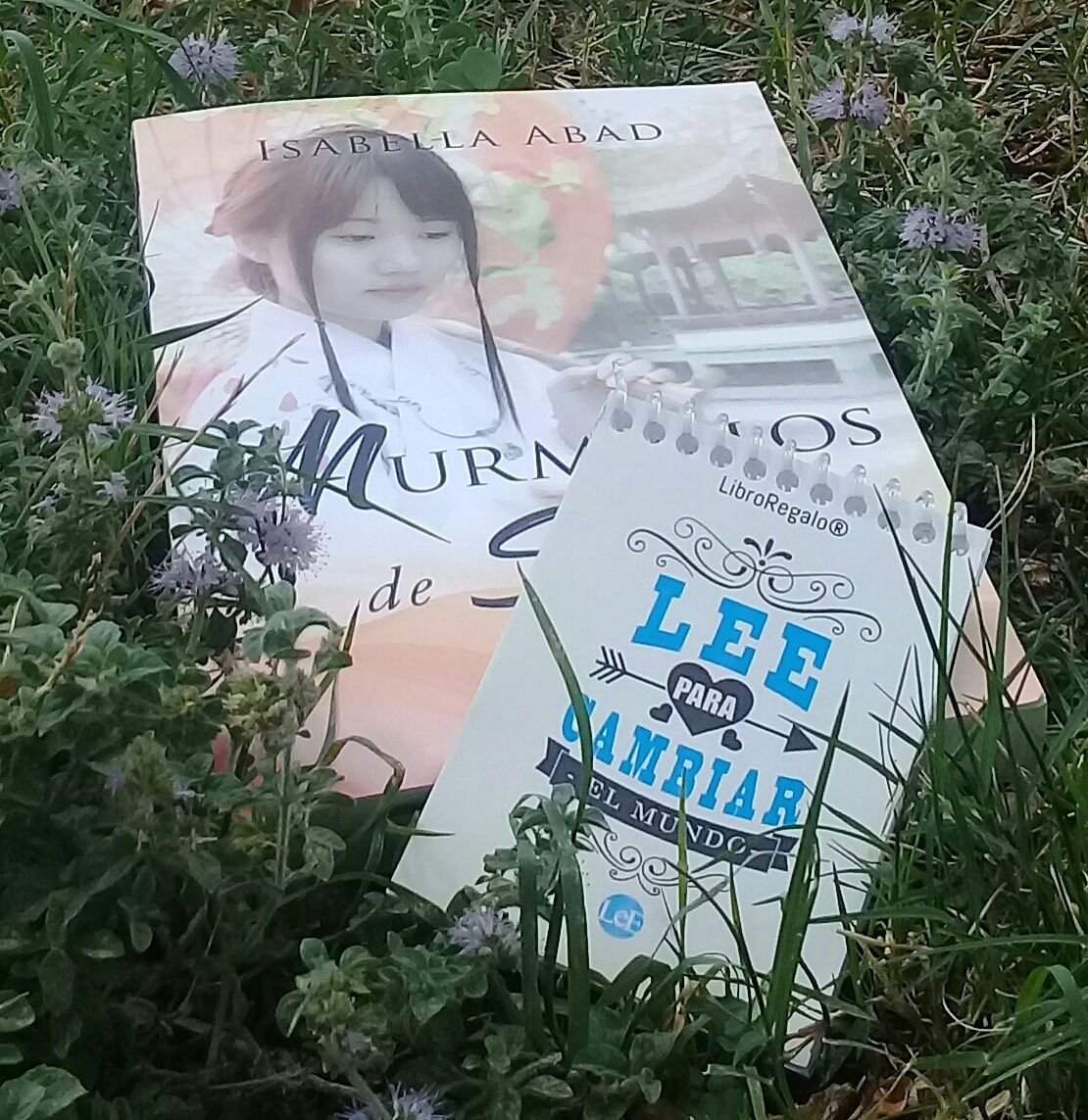 isabellaabad1's tweet photo. Ficción histórica, China S.XIX. La vida de una joven china entre invasiones, tradiciones y guerra civil. #Romance intercultural, #Leer #Lectura #EdicionesLee #KindleUnlimited.
Ed. papel: https://t.co/SIzGlVLdIJ
Digital: https://t.co/rtzdWR8o8V https://t.co/Xa7wsWEuIY