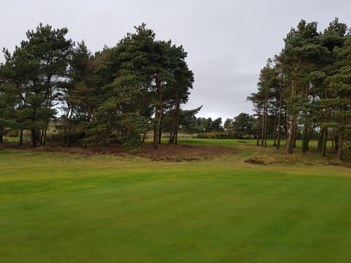 SandAGolfClub's tweet photo. The greenkeeping team have been busy lately - the fairway bunkers on the 14th have been riveted and returfed, while some dead trees and deep bramble has been removed from behind the 3rd green to improve the movement of air and adding to the aesthetic https://t.co/UXPWMBrAMC