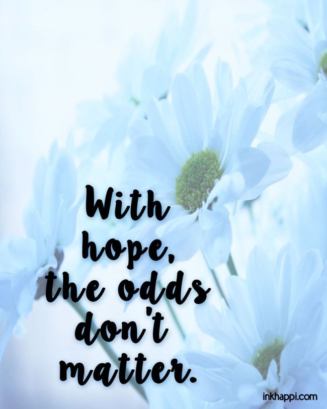 comfycozy4chemo's tweet photo. #motivationmonday Hope above all. 🌈 #motivation #monday #hope #oddsarejustnumbers #hopeisstrength #warriors #ahras #comfycozy #dignity4all https://t.co/818G8A5FTm
