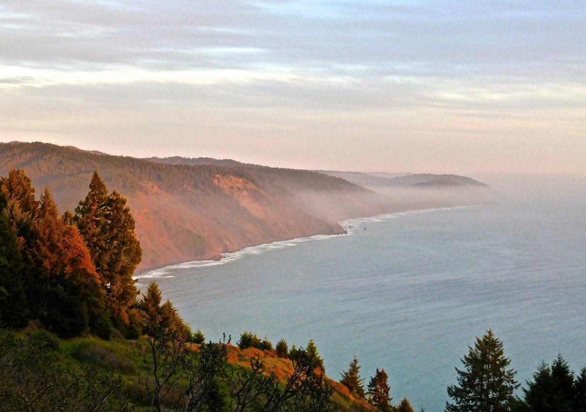 TheHikingLife's tweet photo. A backpacking guide to California's Lost Coast Trail: https://t.co/XJ5i2ZHAmQ #hiking #backpacking #KingRange #LostCoast https://t.co/mTEpHWzfhb