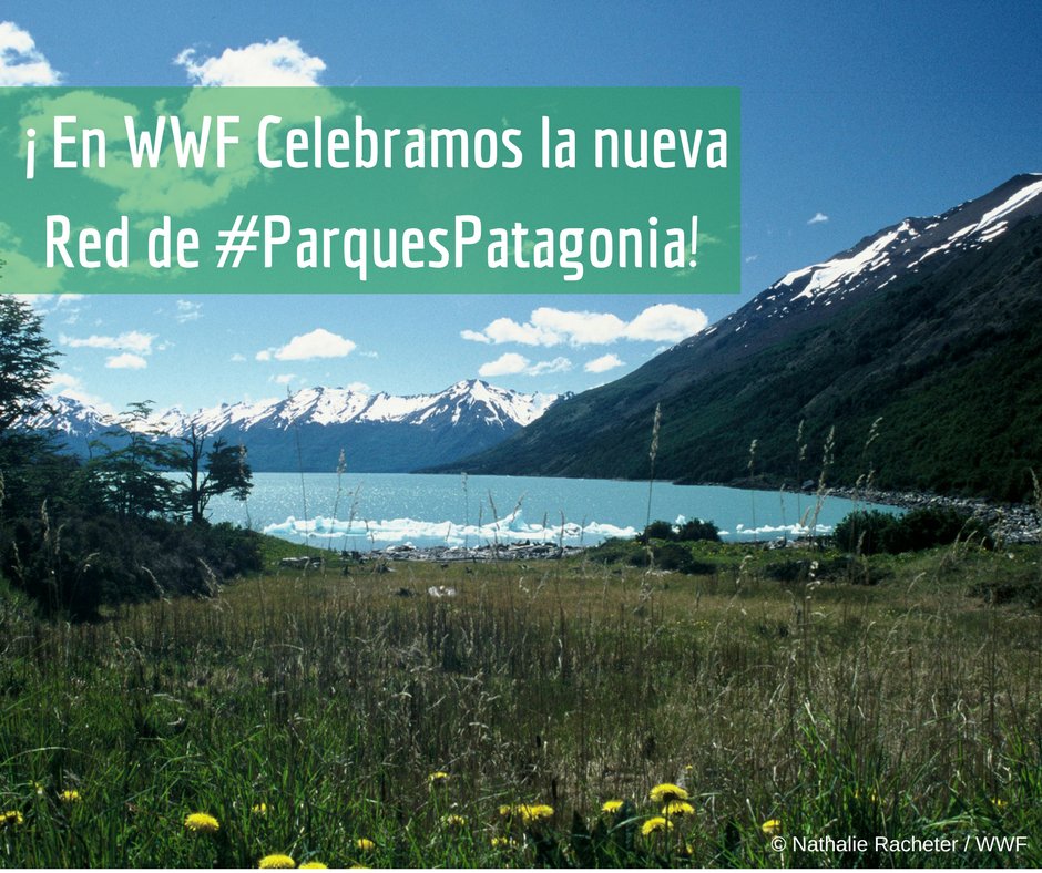 WWF_LAC tweet picture
