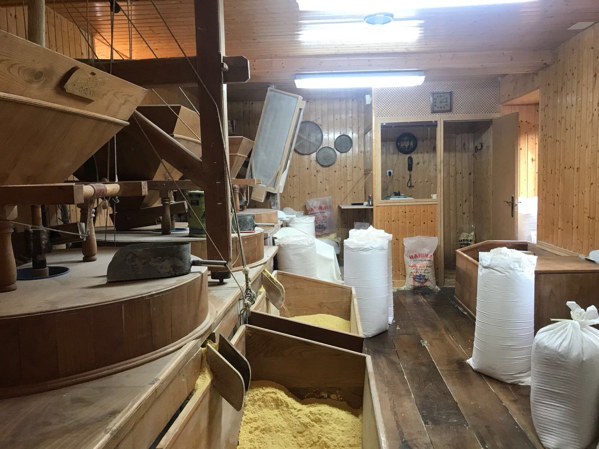 El Torreón de Sol tweet media