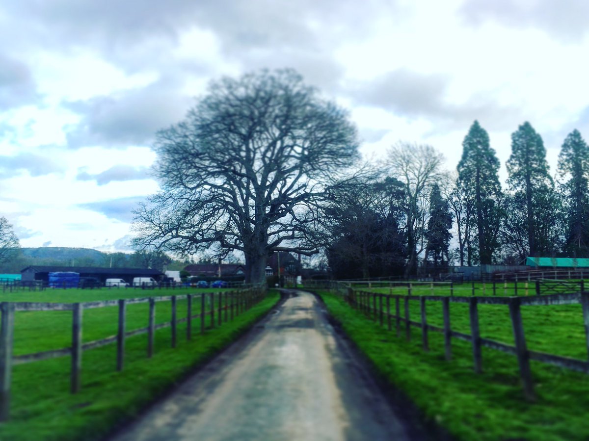 andrewdandrew's tweet photo. #backatbarn #studio #newprojects #newadventures #setdesigner #costumedesigner #countrylifestyle https://t.co/AS9v2jN6xp