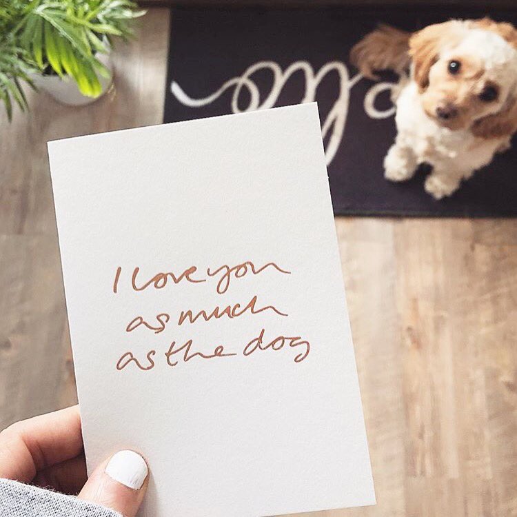 textfr0mafriend's tweet photo. Now if this doesn't make your Monday infinitely better then you can't say I haven't tried. Now go about your business &amp; smash that to do list. I've over 70 orders to post today but I thank you all for making this a super dooper weekend ❤️ #doglovers #textfromafriend #snailmail https://t.co/2YFpL0OJWK