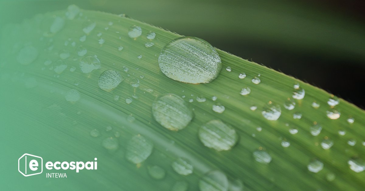 ecospai_'s tweet photo. 💦 El agua de lluvia es agua notablemente limpia, gratuita y no depende de compañías suministradoras. En la mayoría de los casos acaba en el alcantarillado. Las soluciones #INTEWA permiten recuperar el agua pluvial y ahorrar hasta un 50% en el suministro: https://t.co/Y5zWi8lKk8 https://t.co/JVPO8UZFVA