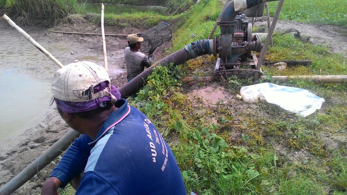 Artman_DP's tweet photo. Persiapan kolam penggelondongan nener bandeng air tawar di ds.Talun Kec.Kayen kab.Pati https://t.co/PXZbDMKTcz