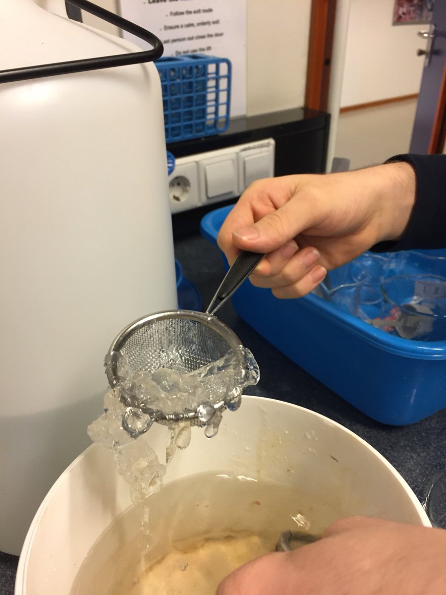 BSNChemistry's tweet photo. Edible Water Bubble Bottle EWBB’s...eurgh!
#BSNY12 https://t.co/rlaocci8uV