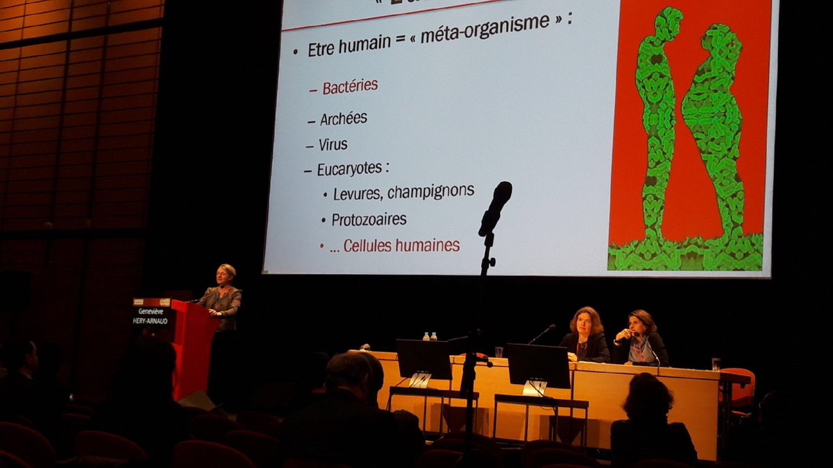 Genevieve_Hery's tweet photo. Un grand merci au #GREPI pour l’invitation, en particulier aux Prs Claire Andréjak et Anne Bergeron . The best is to come! #LungResearch #CIMeNTstudy #NTM #microbiota @jl_herrmann https://t.co/IvyjOqpos0