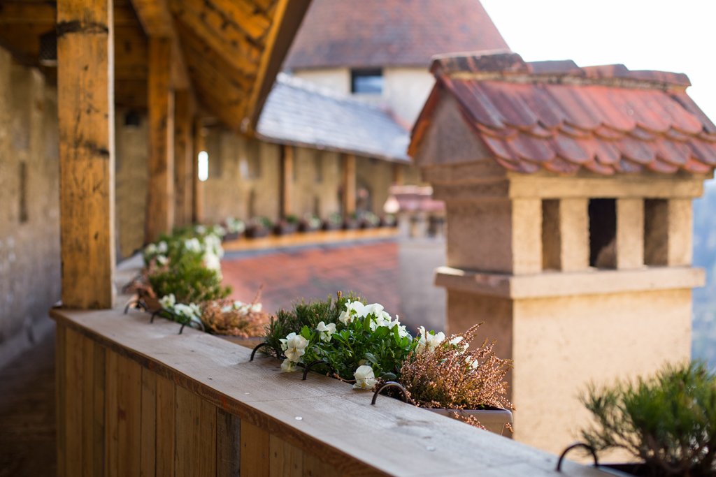 bledcastle's tweet photo. Fall in love with history at Bled castle, enjoy the present https://t.co/6k6Q3Bf5US . 😀🏰#events #museum #printingworks #winecellar #gallery https://t.co/7GPnpbcnUX