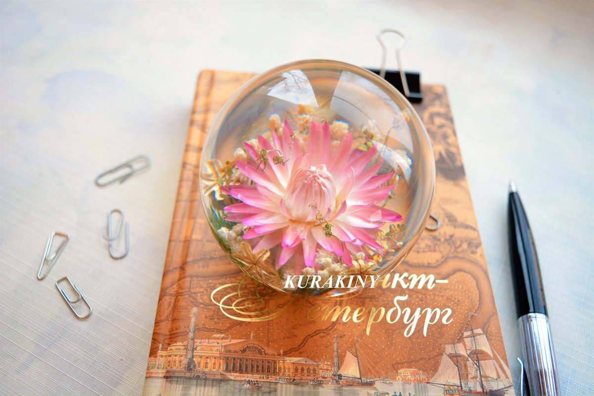 kurakiny's tweet photo. Pink Aster, buy here: https://t.co/D6jEpBYFFj โฆ #Astra #kurakinyart #etsy #etsychop #gift #glass #giftforbirthday #surprise #favoritewoman #wow https://t.co/8zff4gmGUm