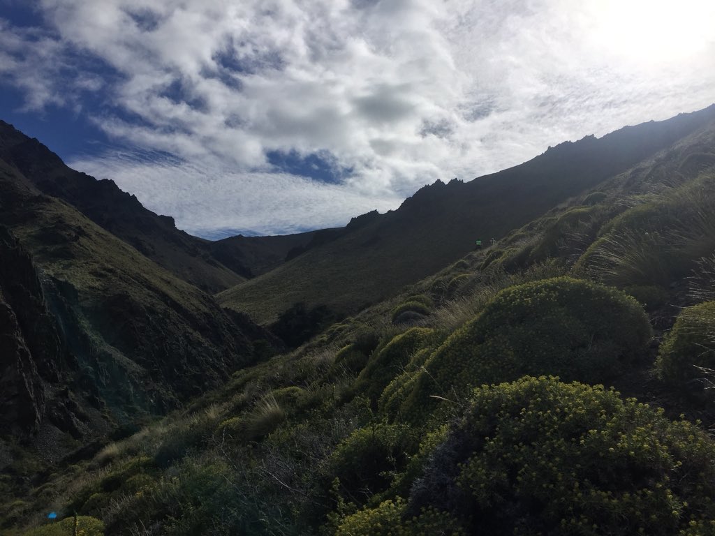 efectorunning's tweet photo. La Hoya Cross Trail la carrera de montaña para un apronte a 4 Refugios en Esquel https://t.co/UGdsYzim0M https://t.co/aQNHUbu61L