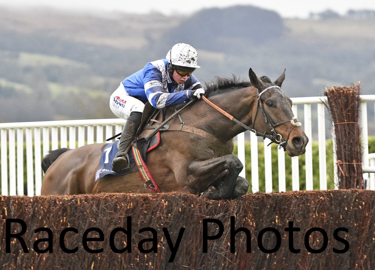Owners and Trainers - don't forget to head over to racedayphotos.co.uk/-/galleries/ch… to take a look at all the snaps from Festival Trials Day. #FTDChelt