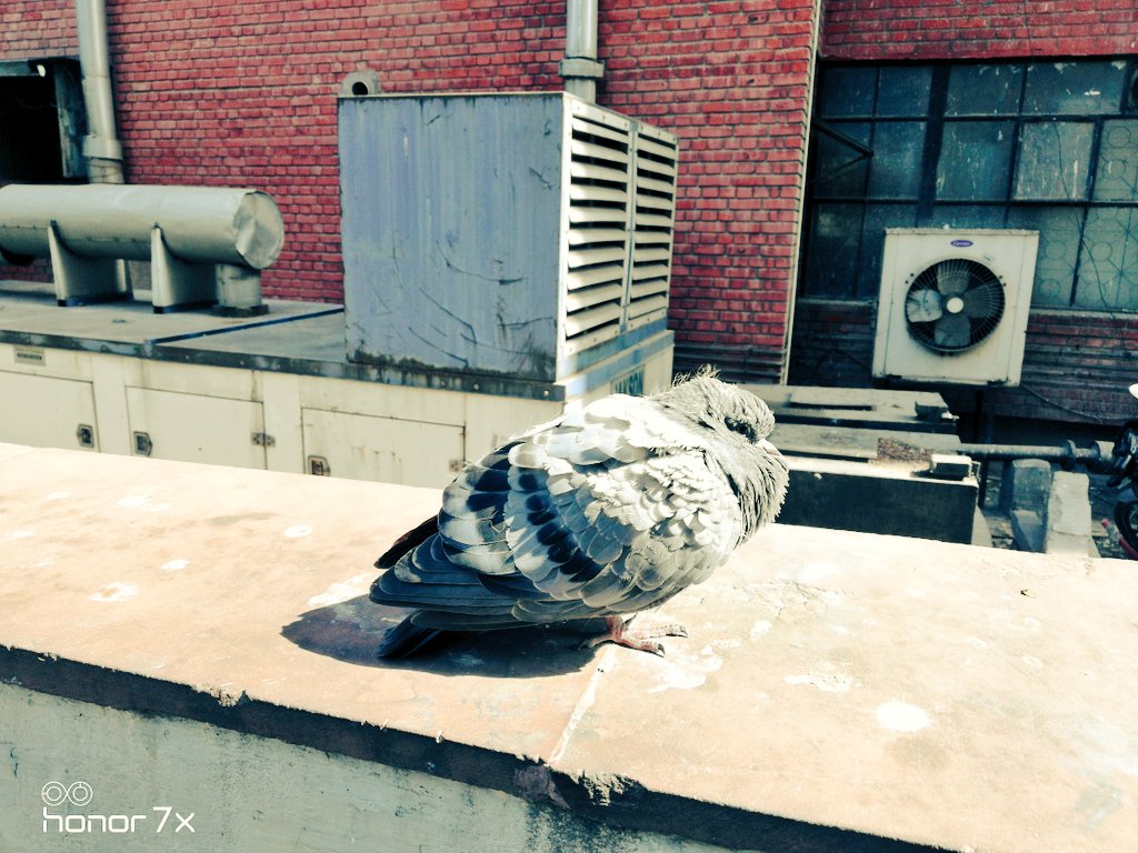 MonksGuide's tweet image. #soloTravel #SunBath #Chill