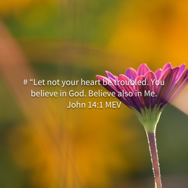 belldeanna's tweet photo. https://t.co/JkmJJhHWTV https://t.co/NL8dSDHsLP