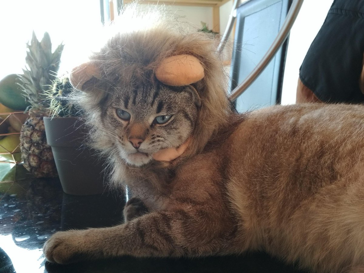 AThbert's tweet photo. @Fuuukano Pas de concurrence https://t.co/fM1kKFFh6Q