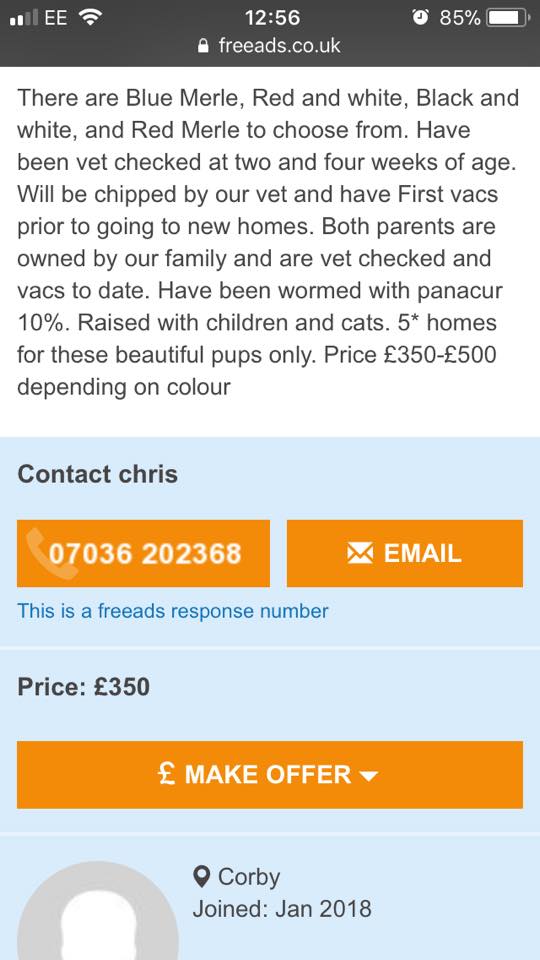 Lost/Found Northants tweet media