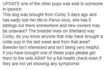 Lost/Found Northants tweet media