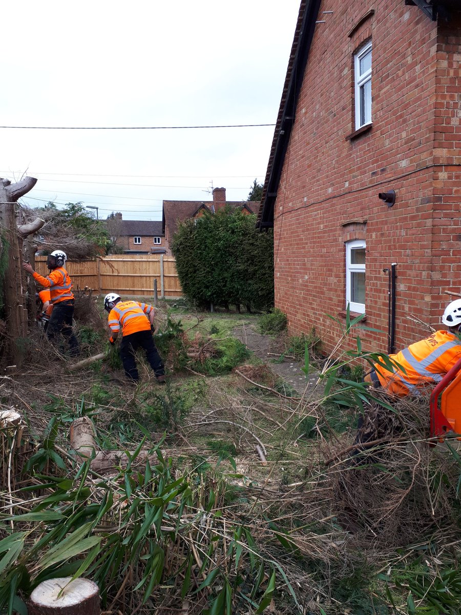 VPSGrounds's tweet photo. @VPSGrounds Arb hard at work for @WaverleyBC clearing trees in way for fencing contractors. https://t.co/ulCnGruQW6