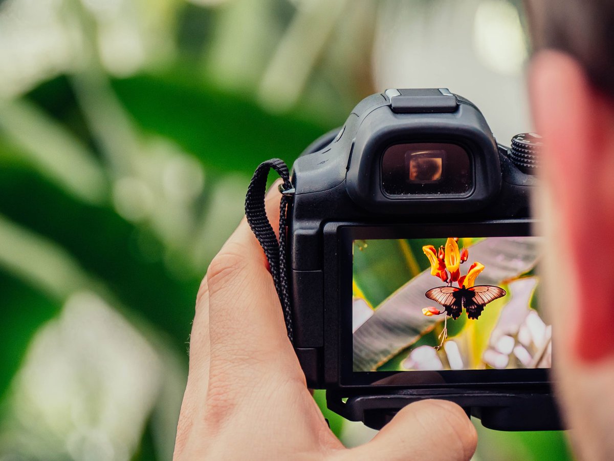 PCLtweet's tweet photo. Kick-start your #photography with one of our Intense Foundation courses! This full-day course is a great way to jump in to digital photography. Next course date: 3 Feb – book now: https://t.co/XZq1W1N8Cy #DSLR #DigitalPhotography #Photocourse #DSLRcourse #London https://t.co/FQO1g6llOJ