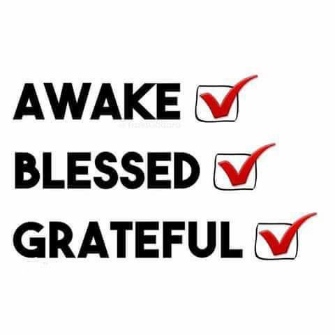 DavidTo17075296's tweet photo. Good morning. ☀️😃. Hope you are feeling blessed this morning. https://t.co/eByAwJNIFn