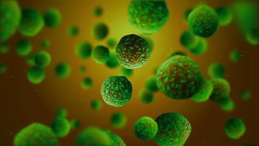 OntarioVape's tweet image. How many times have you caught a cold or the flu since you've started vaping? - &amp;gt;&amp;gt; goo.gl/QNHbjK &amp;lt;&amp;lt; #vapestudy #vapelife #vaping