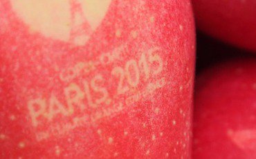 PCEConsultants's tweet photo. UN urges business input into Paris Agreement through new 'Talanoa Dialogue' site https://t.co/EqY5z8sXju https://t.co/3wSkpLd51l