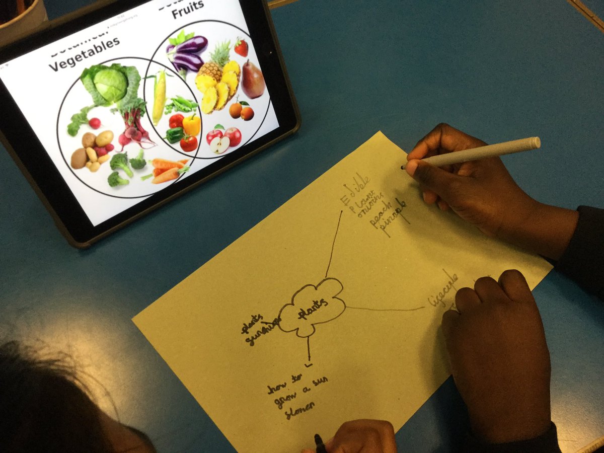 EPSMissMHardy's tweet photo. Y3 working hard to #research #factsandinformation about #Plants, ready for writing their #informationbooklets later on this week. #planningforwriting #collaborativelearning 🌟👍🏼😁@Gaynor_Spence @Eastfield_EN3 https://t.co/4AMBVcpGae