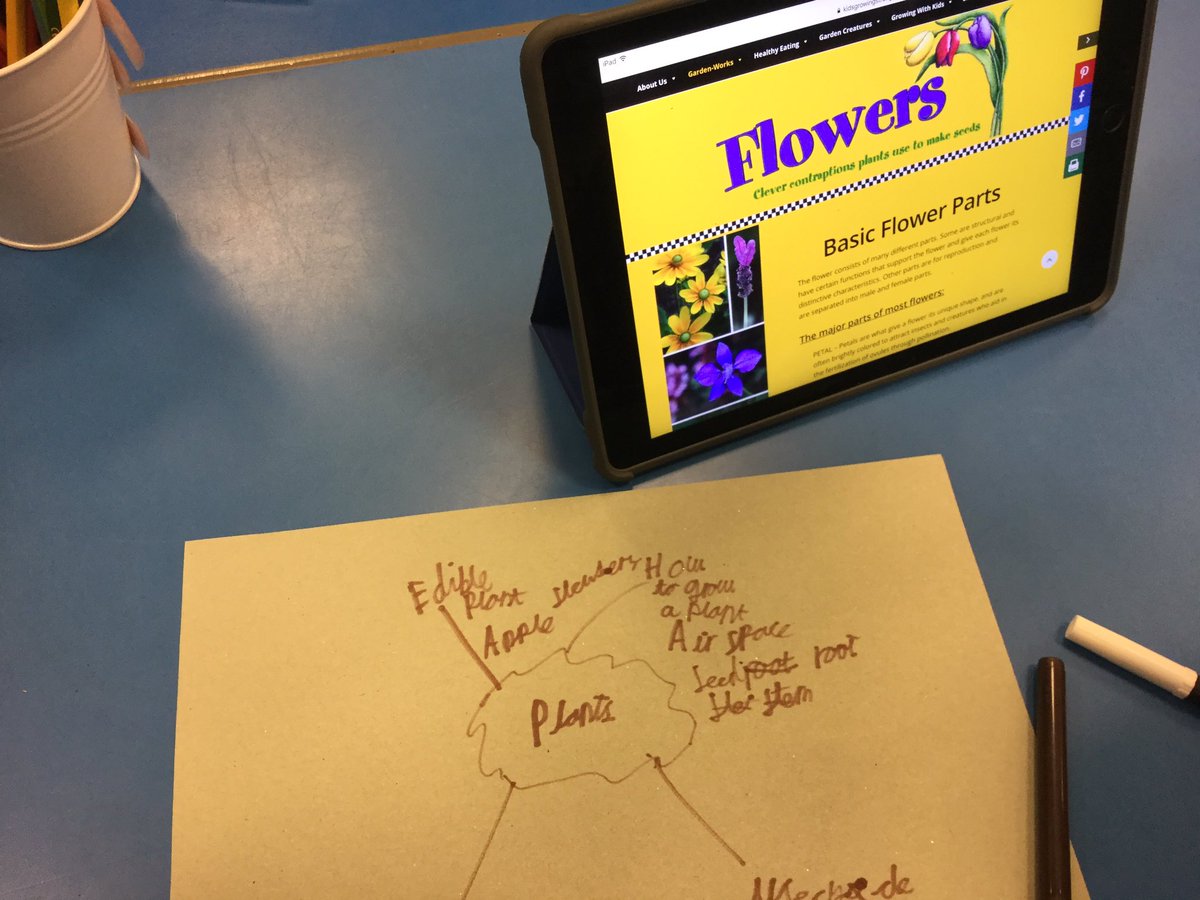 EPSMissMHardy's tweet photo. Y3 working hard to #research #factsandinformation about #Plants, ready for writing their #informationbooklets later on this week. #planningforwriting #collaborativelearning 🌟👍🏼😁@Gaynor_Spence @Eastfield_EN3 https://t.co/4AMBVcpGae