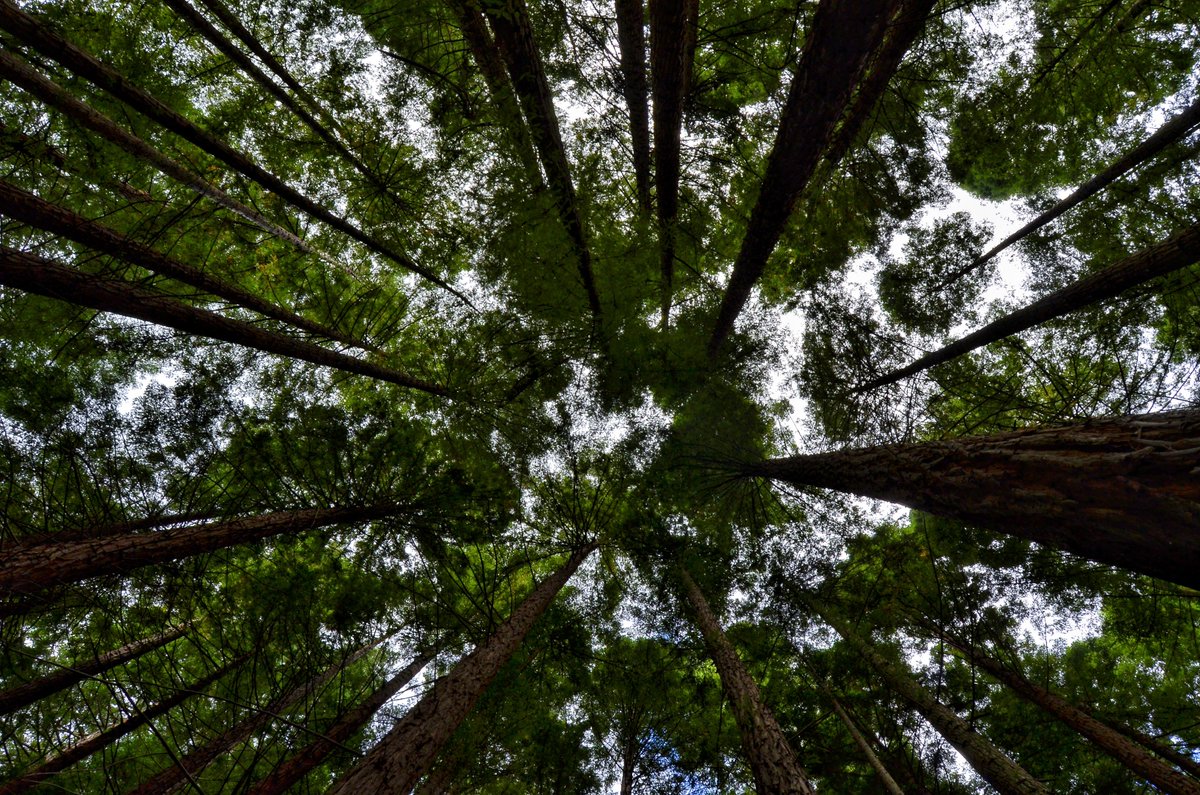 <a href="/ComillasTurismo/">Comillas Turismo</a> <a href="/_Babyboom_/">🛫Babyboom🛬</a> <a href="/locosxlosviajes/">Mª Carmen - Loc@s x los viajes</a> <a href="/aytocabezon/">Cabezón de la Sal</a> <a href="/Man_SajaNansa/">Manc. Saja Nansa</a> <a href="/SajaNansa/">Saja Nansa</a> Y para ir abriendo boca... Echa un vistazo a nuestro post ;) goo.gl/dCdmNC