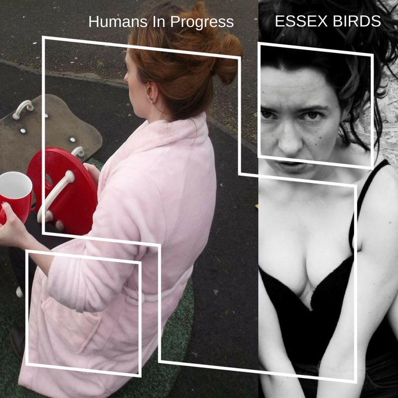 Essex Birds tweet media