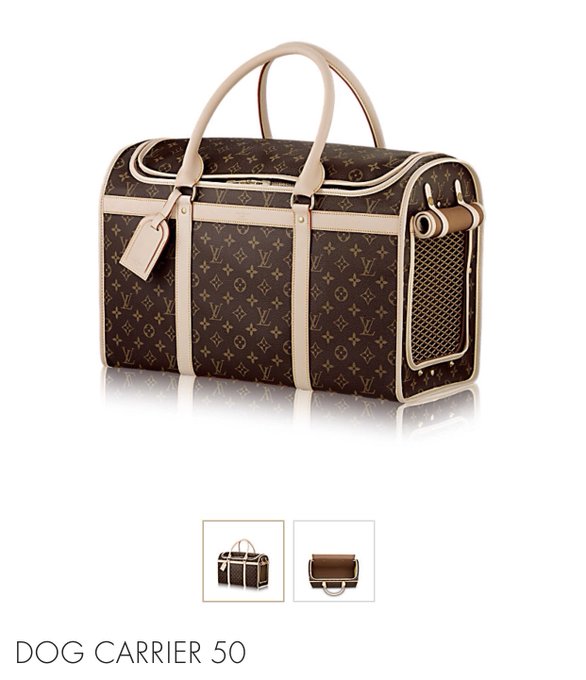 Yes I am a cat person. But my cats won&rsquo;t go on walks 😭  So once I get this dog she&rsquo;s getting that LV<a href="/tag/idiots"class="tags"><span>#idiots</span></a>