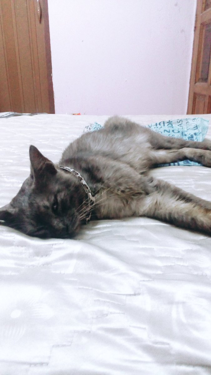 fqfzl's tweet photo. Sick kid, I'm a sad mommy
#prayforOreo https://t.co/qAaen9Z21k