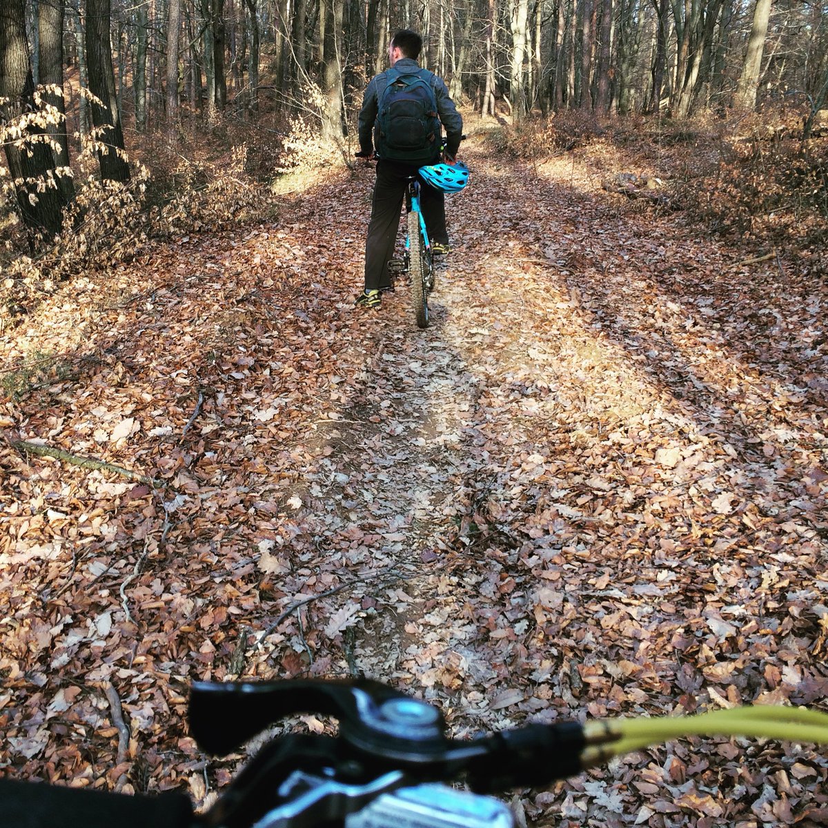 SloClimbing's tweet photo. Active weekend. More days like this. #mtb Golovec and #climbing at plus climbing gym https://t.co/nCiLOXs71x