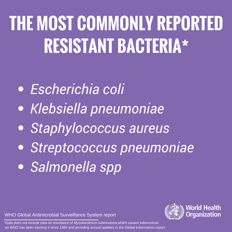 World Health Organization Who En Twitter Most Commonly Reported Resistant Bacteria E Coli Causes Serious Food Poisoning K Pneumoniae Causes Pneumonia Other Infections S Aureus Causes Infections In Health Facilities Streptococcus World Health Organization Who En Twitter Most Commonly Reported Resistant Bacteria E Coli Causes Serious Food Poisoning K Pneumoniae Causes Pneumonia Other Infections S Aureus Causes Infections In Health Facilities Streptococcus