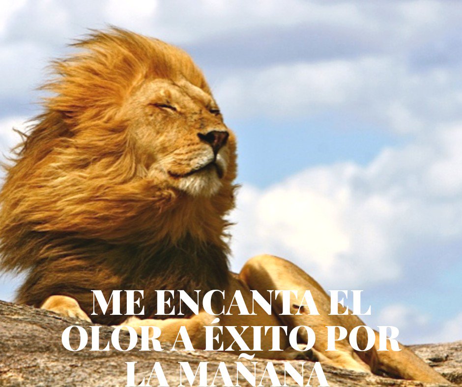TPI_CA's tweet photo. Me encanta el olor a éxito por la mañana.
Feliz inicio de semana !!! https://t.co/9WHl9oIMkK