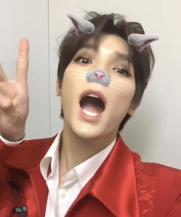 smty0907's tweet photo. 울 사랑둥이 툥냥이✨ https://t.co/cxGD5cv9M2