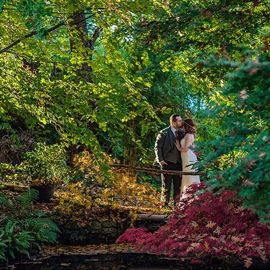 selectedvenues's tweet photo. We've hand picked beautiful wedding venues that have gorgeous gardens, link in bio. Photo by @dm_photographyuk #weddingvenue #gardens #weddingvenuegardens #weddinggardens #gardenscapes #weddingideas #weddingday #weddinginspo #weddinginspiration #brideand… https://t.co/NOuT1E8zKW https://t.co/UdBKtTWOa1
