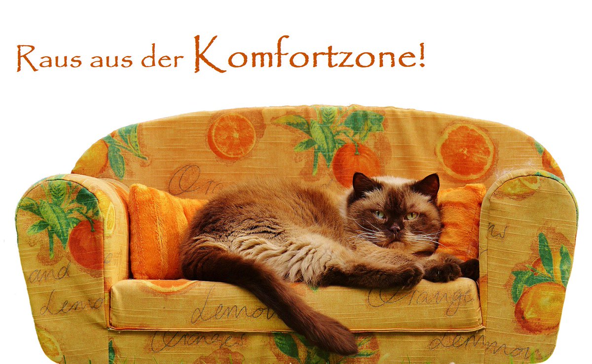 systemhausJOBRI's tweet photo. RAUS AUS DER KOMFORTZONE! Damit die #DSGVO auch in der Praxis ein Erfolg wird.. https://t.co/2ZsloCGWLS https://t.co/4cNaR2bCZl