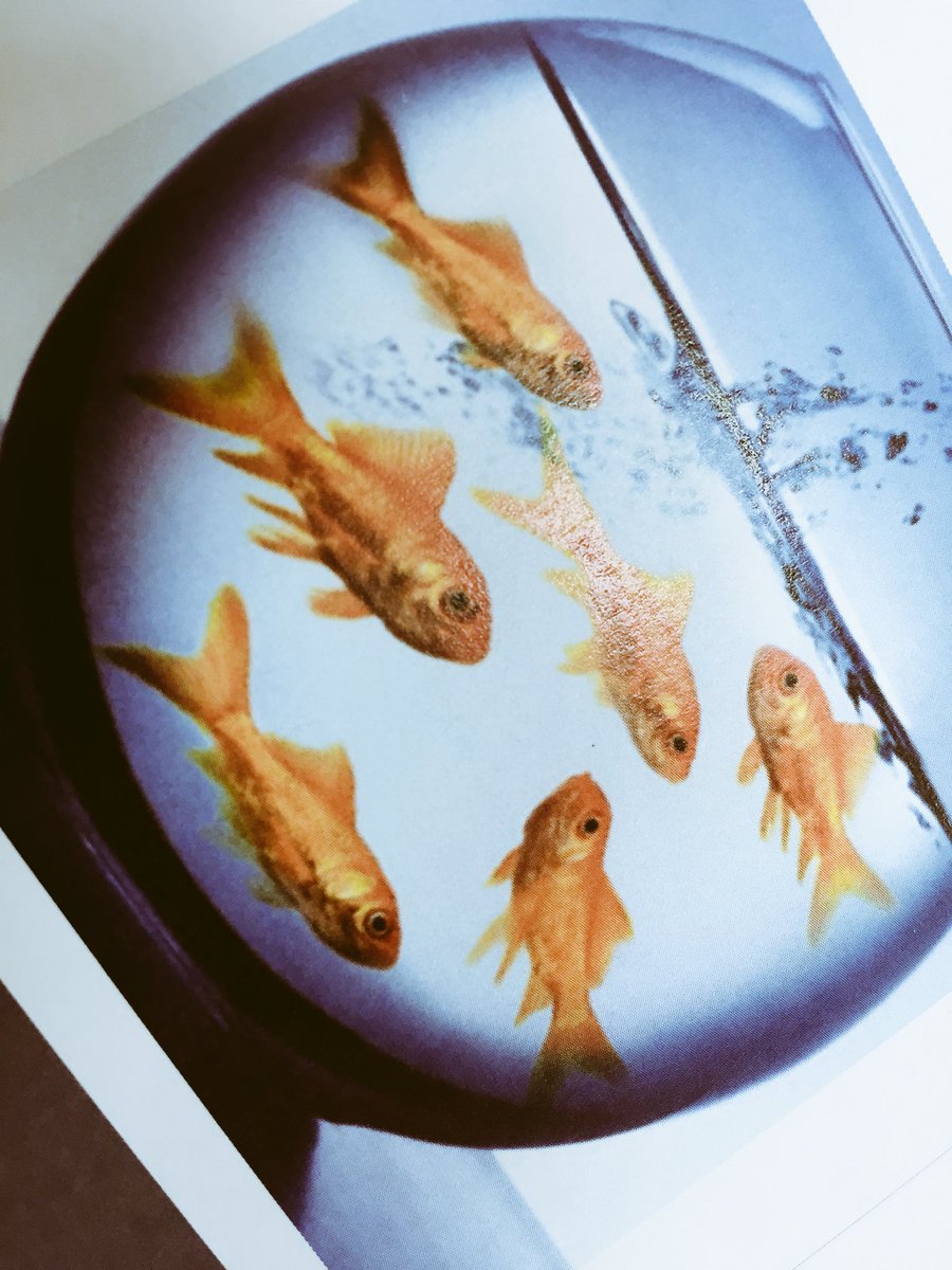 Sarah_He_'s tweet photo. Fishbowl about learnings from #wol circles no. 3-6.  thanks for this great opportunity @johnstepper  @netzabine @Katha_Pe @lukizzl ans @tzinderella #WOLcmt https://t.co/6B1SXc0Aob