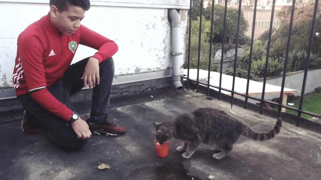 Histoire d’amour – Miks bxlopenview.be/media/histoire…