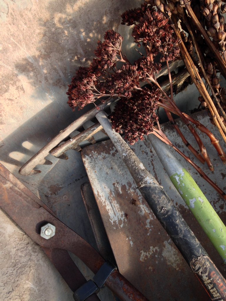tullibodygarden's tweet photo. Drop your unwanted tools off at the community garden and pass them onto someone new. #toolshare #tools #communitygarden #Recycle #reuse #ClimateAction https://t.co/0wGeDeZ4Uf