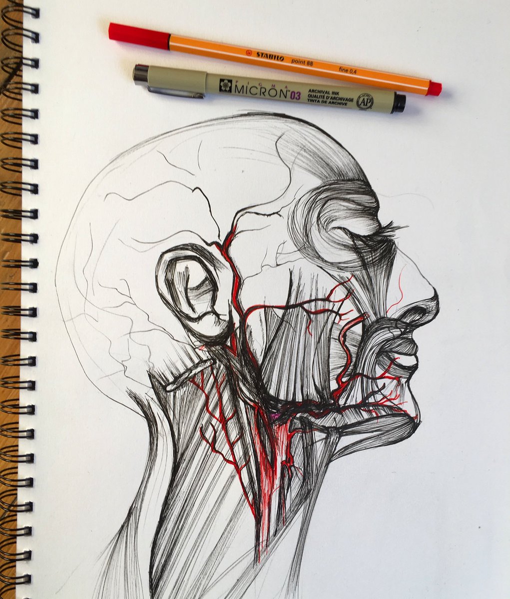 Sketchbook Sundays <a href="/anat_soc/">Anatomical Society</a> <a href="/morbidanatomy/">Morbid Anatomy</a> Come see my work <a href="/TyneBankBrewery/">Tyne Bank Brewery</a> on@SAT 3RD FEB <a href="/NOWT_SPECIAL/">NOWT SPECIAL</a> #anatomy
