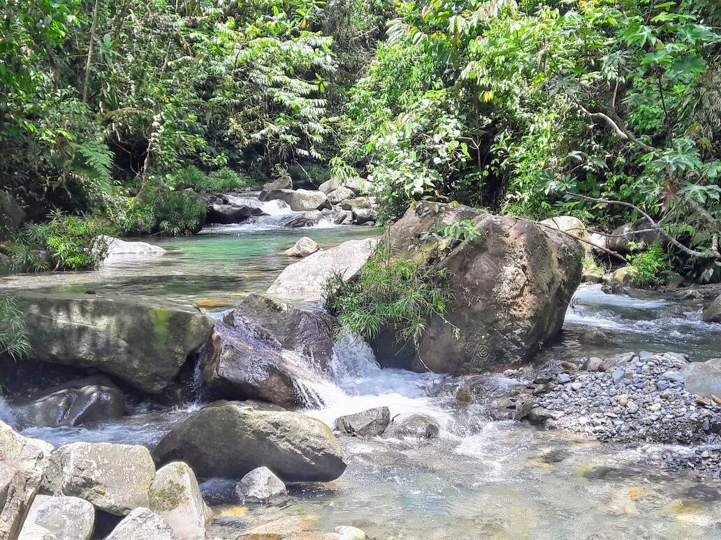 ATP_panama's tweet photo. Esos rincones escondidos que llenan de paz y te envuelven con la belleza de la naturaleza. Buenos Días desde el Parque Nacional de Santa Fe, Segundo Brazo en la provincia de Veraguas. Hermosos lugares por visitar, Panamá es la ruta por descubrir  #VisitPanamá 💚 https://t.co/lGiCGfVutE