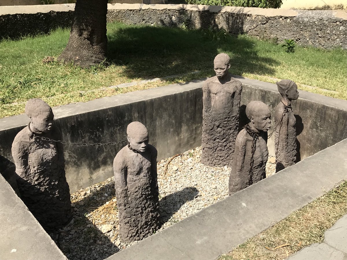 Prof. Stuart Taberner, University of Leeds, UK tweet media