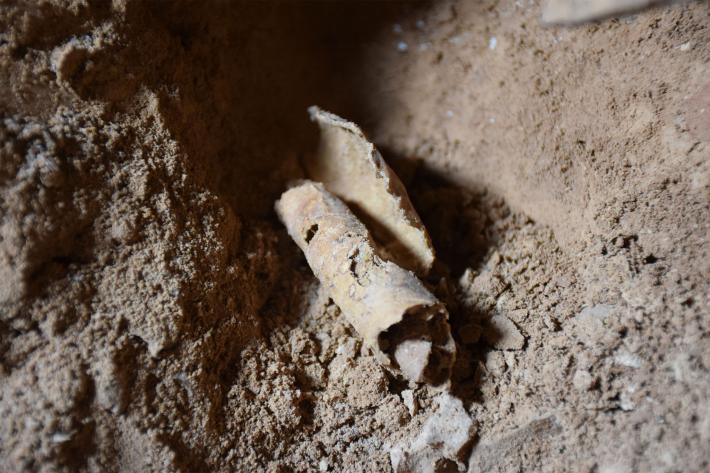 whencyclopedia's tweet image. ICYMI: One of the Last Dead Sea Scrolls Deciphered. news.nationalgeographic.com/2018/01/dead-s… 

#History #DeadSeaScroll